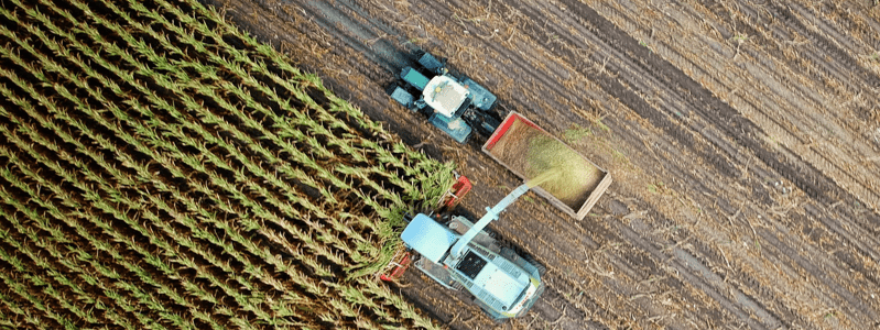 L’EARL (Exploitation Agricole à Responsabilité Limitée) création et