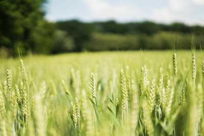 Tout comprendre sur l'EARL : définition, fonctionnement, avantages
