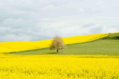 Comment créer une SARL agricole ?